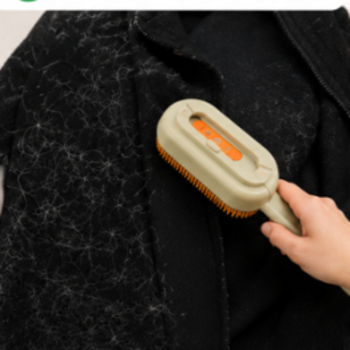 Brosse Anti - Poils Réutilisable – Maison Propre