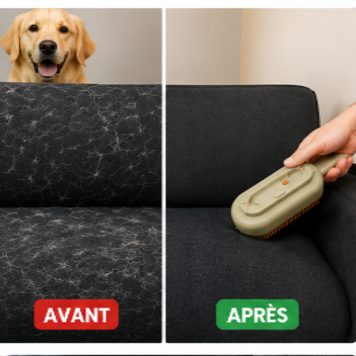 Brosse Anti - Poils Réutilisable – Maison Propre