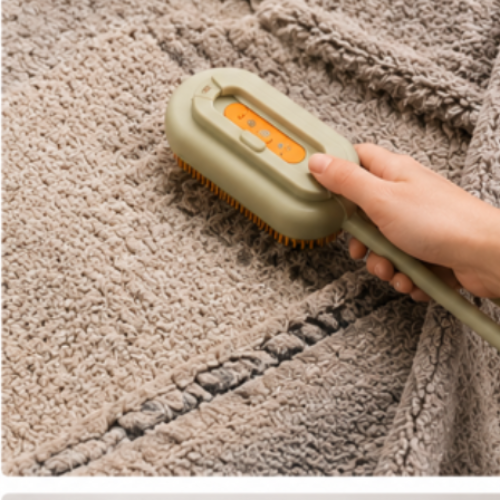 Brosse Anti - Poils Réutilisable – Maison Propre