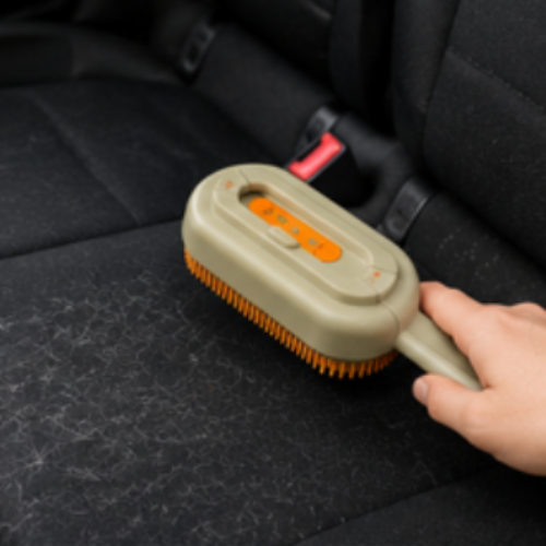 Brosse Anti - Poils Réutilisable – Maison Propre